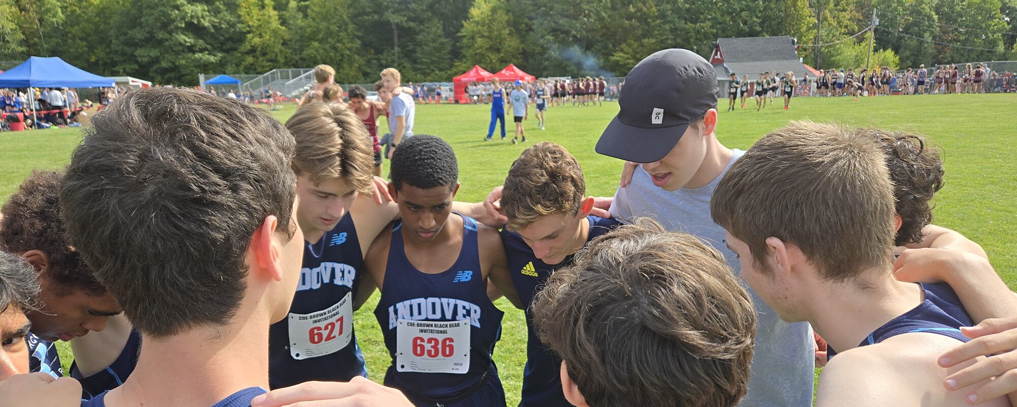 Black Bear V Huddle